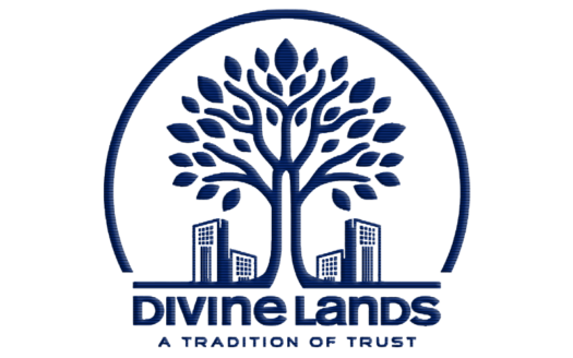 Divine Lands profile Logo