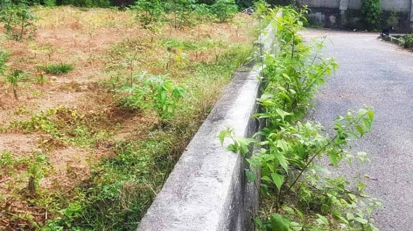 5 Cent Land / Plot for sale near Technocity, Mohanapuram, Mangalapuram