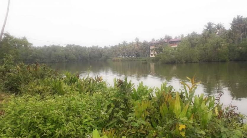 15 acre lake view land for sale near Mananakku, Vakkom, Trivandrum