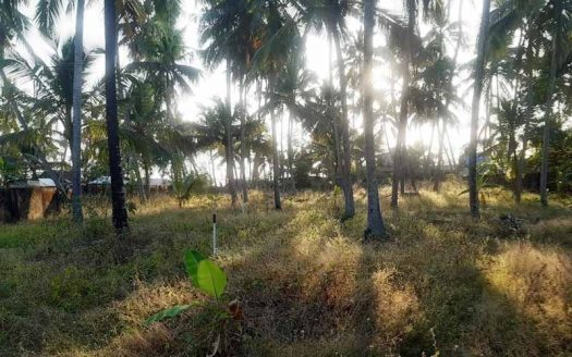 70 cent Sea view land for sale in Puthukkurichy, Trivandrum