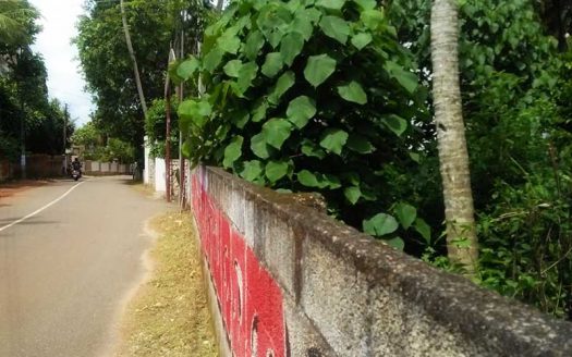 10 cent Commercial / Residential land near Pullanivila, Karyavattom