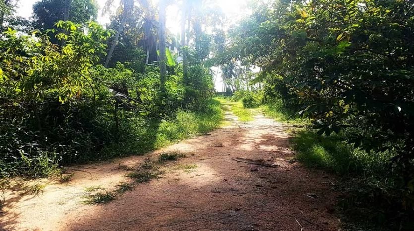 2.15 acre lake frontage land for sale near Technocity, Mangalapuram