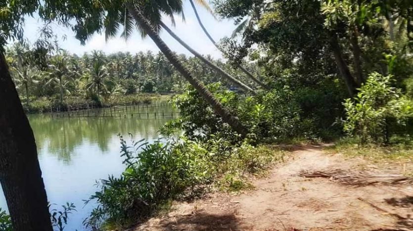 50 cent Lake front land for sale near Technocity, Murukkumpuzha