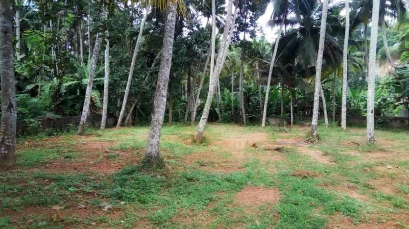 35 cent land for sale in Sreekaryam near College of Engineering Trivandrum