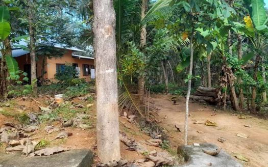 40 cent land for sale near Vengode, Keezhthonnakkal