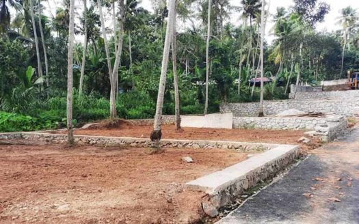 5 cent Residential plot for sale near Sreekaryam, Kallampally