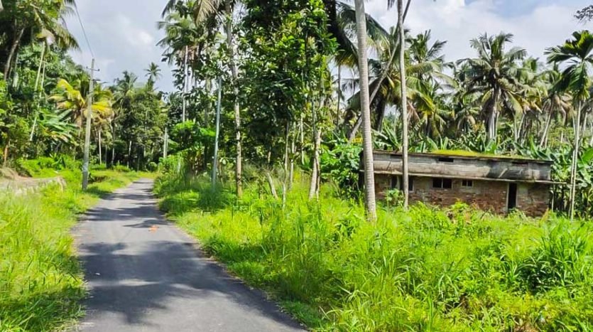 4 Acre Residential land for sale at Thrippadapuram near Technopark