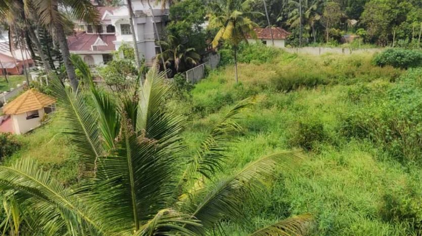 1.2 acre Sea view land for sale at Varkala, Trivandrum