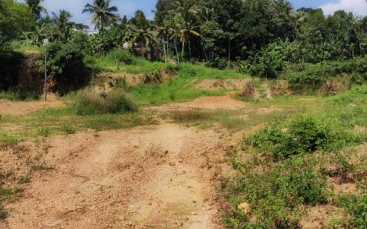 3.5 acre land for sale at Thrippadapuram near Technopark