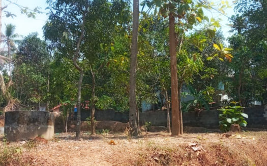 27 cent residential land for sale near Kulamada jn, Parippally, Kollam