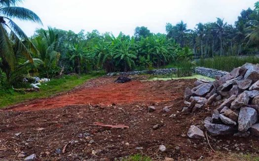 29 cent land for sale at Punchakkari, Karumam, Thiruvallam