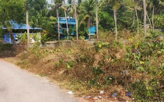 40 cent Residential land near Nellimoodu, Mangalapuram