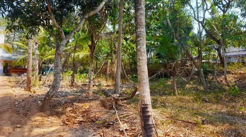 12 cent Land for sale in Chanthavila, Kazhakuttam