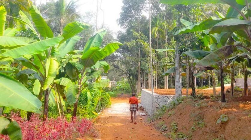 60 cent Residential Land for sale at Kattaikonam, Trivandrum