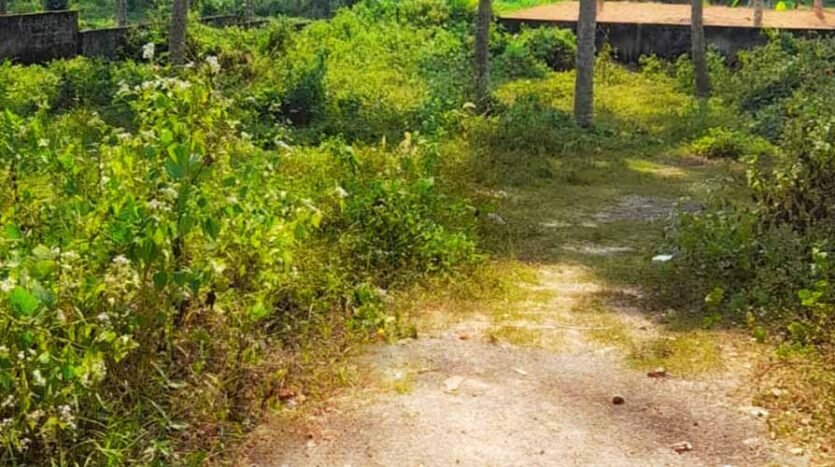 7 cent Residential land for sale in Madavoorpara, Chenkottukonam