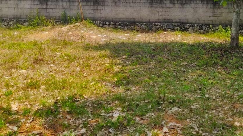 9.25 cent Residential Land for sale in Ariyottukonam, Kattaikonam