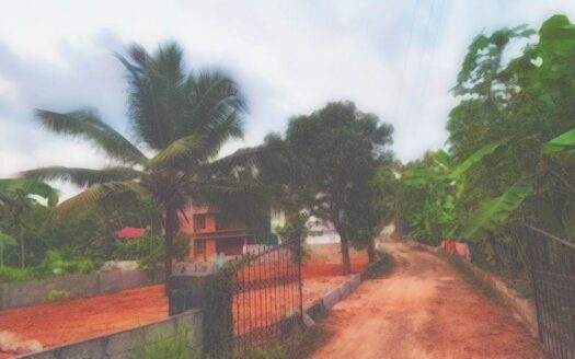 Prime Residential Land for Sale in Karyavattom, Near Technopark, Trivandrum