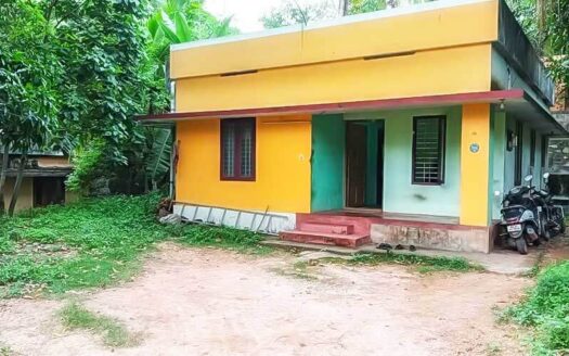 16 Cent Residential Land with 2 BHK House for Sale in Kalliyoor, Vellayani