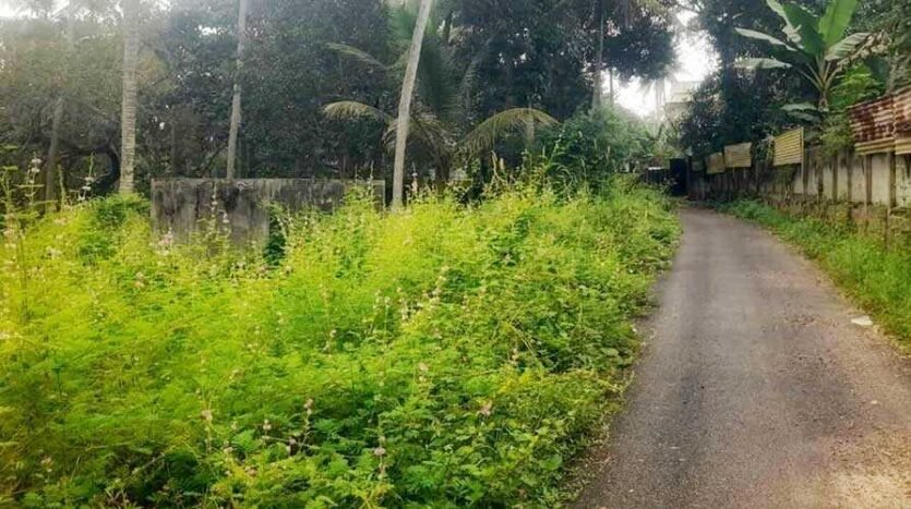 1 acre 82 cents, this prime residential land in Andoorkonam, near Technopark