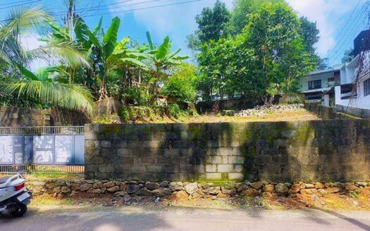 5.75 Cents Residential Land for Sale in Mukkola, Nettayam, Trivandrum