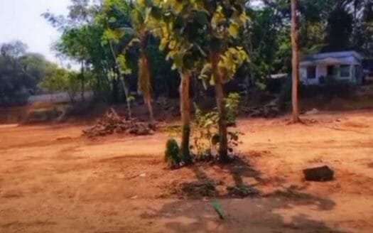 3 Acre Residential Land for Sale in Varkala Palayamkunnu