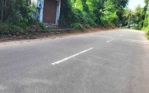 70 Cents Residential Land for Sale in Muttappalam