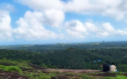 Low Budget 1.3 Acre Land for Sale near Vellanikkal Paramukal