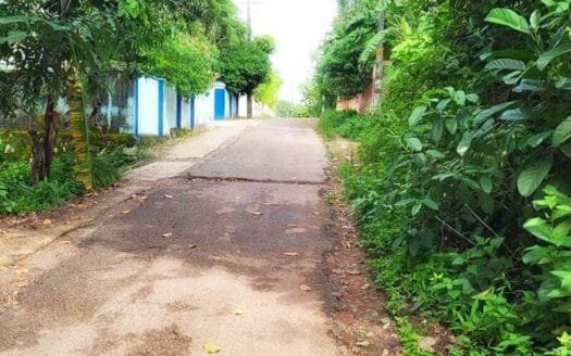 Low Budget 2.9 Acre Land for Sale in Korani