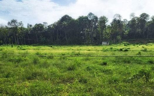 Low Budget 3.5 Acre Land for Sale in Oorupoika
