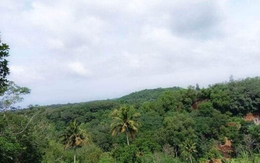 Low Budget 87 Cent Land for Sale in Mudakkal