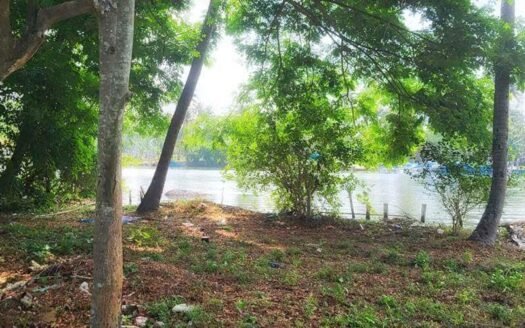 3.5 Acre Lake Front Land for Sale at Chirayinkeezhu Thiruvananthapuram