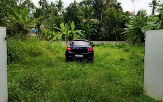 11 Cent Residential Land for Sale Venkavila Pazhakutty Nedumangad