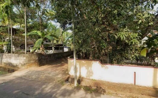 20 Cents Residential Land for Sale Chavarkode Parippally