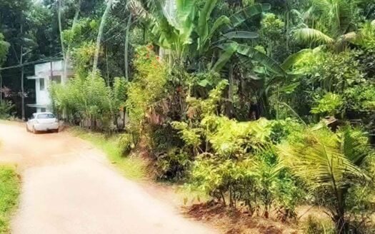 23 Cent Residential Land for Sale Vembayam Thempammodu Trivandrum