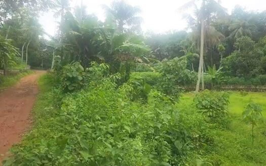 28 Cent Residential Land for Sale Karakulam Azhicode Trivandrum