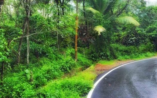 3.5 Acre Land Cheeranikkara Vembayam Trivandrum