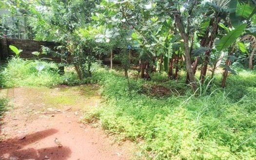 6.5 Cent Residential Land for Sale Vettoor Varkala