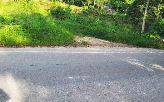 92 Cent Commercial Land Poovar Vizhinjam Main Road Trivandrum
